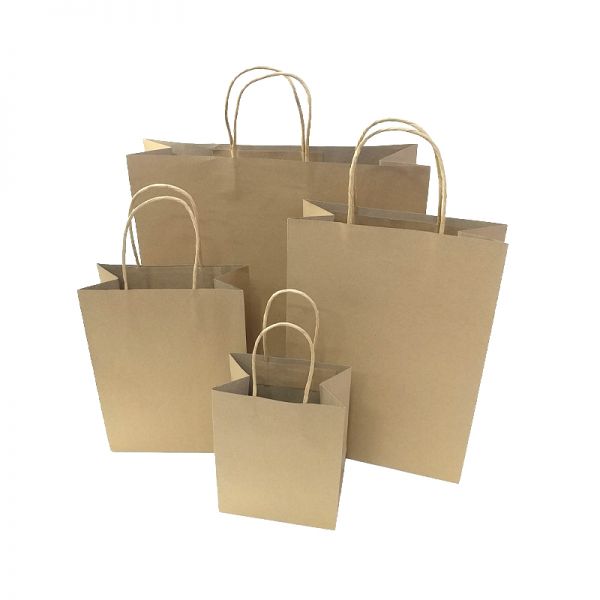 Brown Kraft Paper Twisted Handles Bag  
