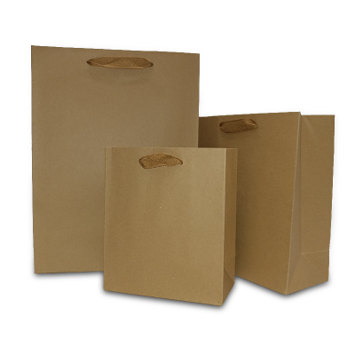 Brown Kraft With Ribbon Handles Bag 