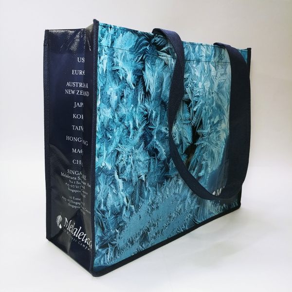 CM - Non Woven Bag-009