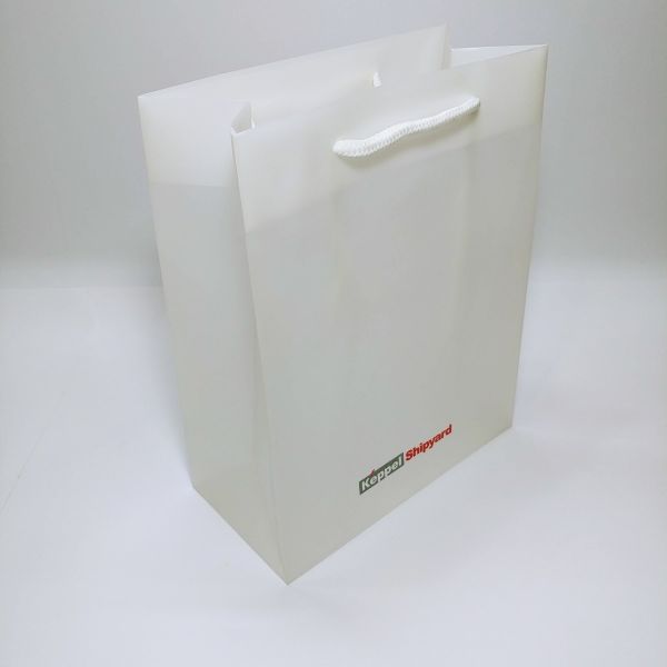 CM - Frosted PP Bag with Rope Handles - 003