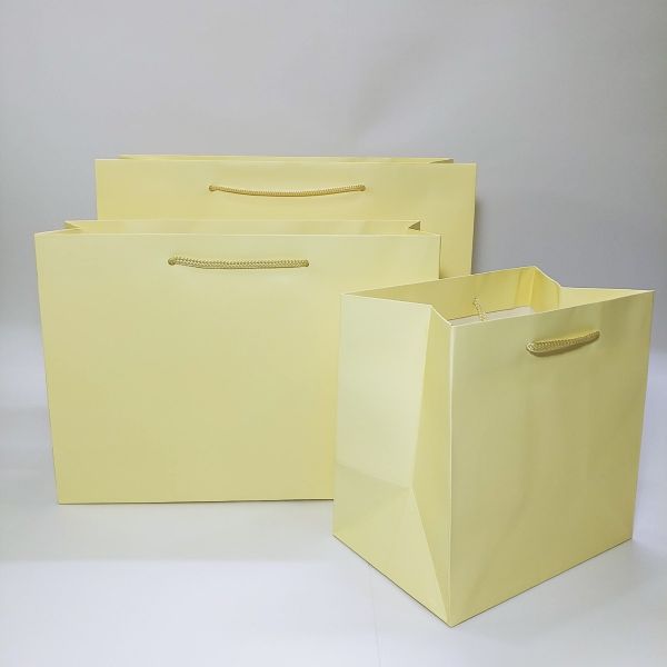 Matt Cream Yellow Rope Handles Paper Bag 