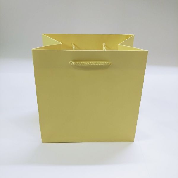 Matt Cream Yellow Rope Handles Paper Bag 
