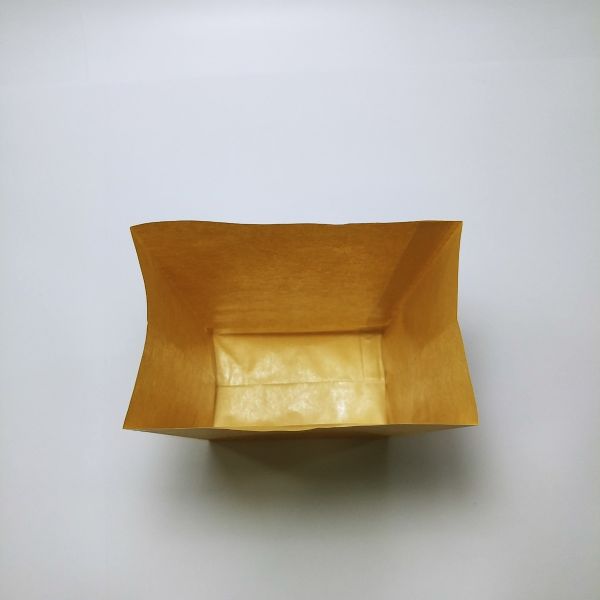 Brown Kraft PE Coated Paper Bag (100pcs)