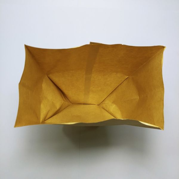 Brown Kraft PE Coated Paper Bag (100pcs)