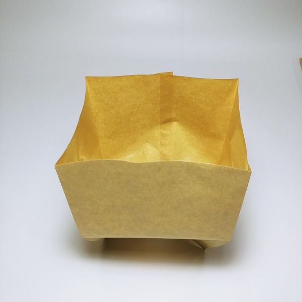 Brown Kraft PE Coated Paper Bag (100pcs)