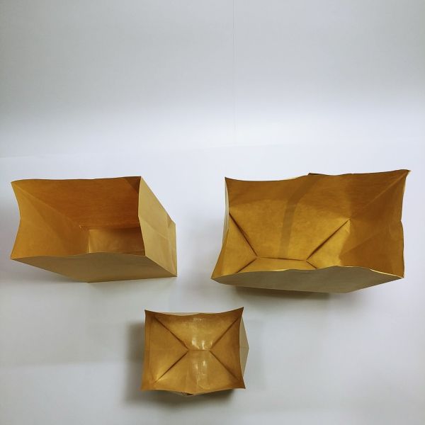 Brown Kraft PE Coated Paper Bag (100pcs)