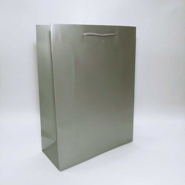 Silver Matt Rope Handles Paper Bag