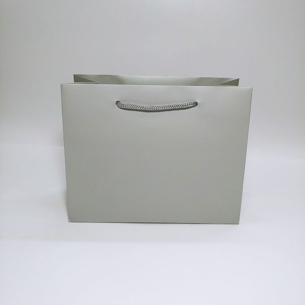 Silver Matt Rope Handles Paper Bag