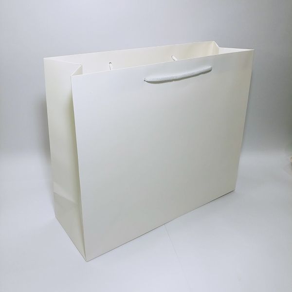 Matt white paper bag
