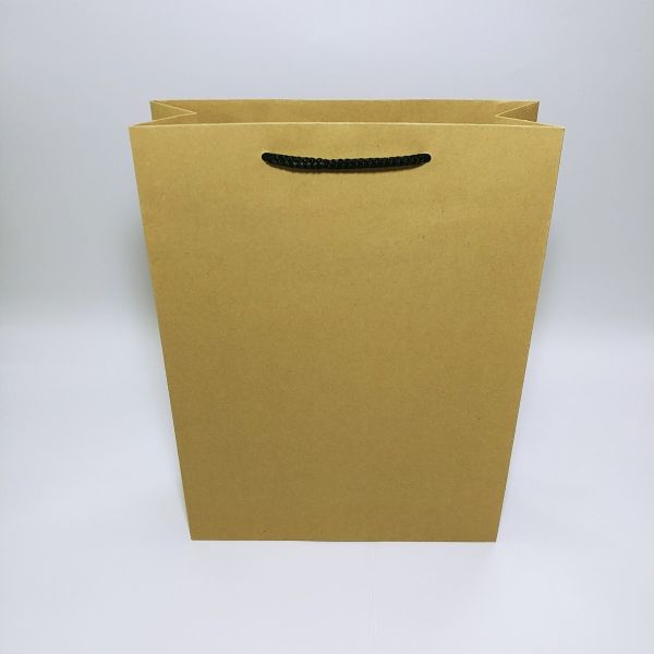 Brown Kraft Rope Handles Bag - Large