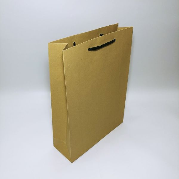 Brown Kraft Rope Handles Bag - Large