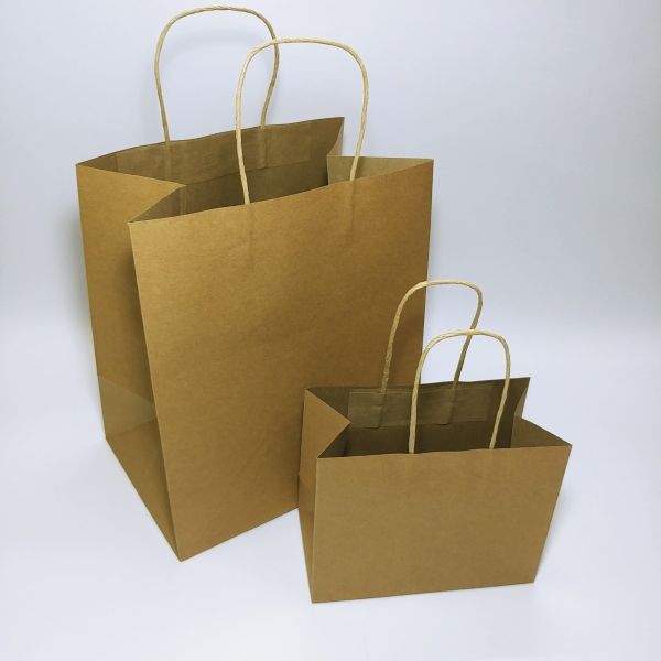 Brown Kraft Paper Twisted Handles Bag with Baseboard (100pcs)