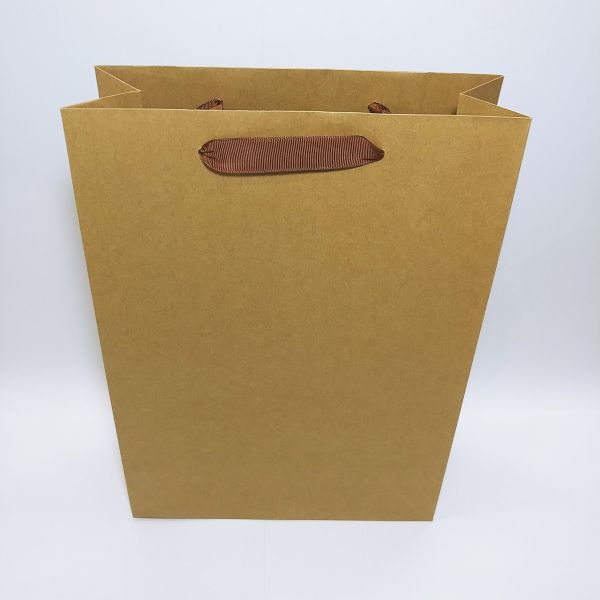 Brown Kraft Ribbon Handles Bag - L and XL