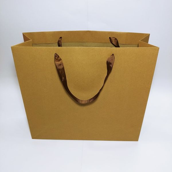 Brown Kraft With Ribbon Handles Bag 