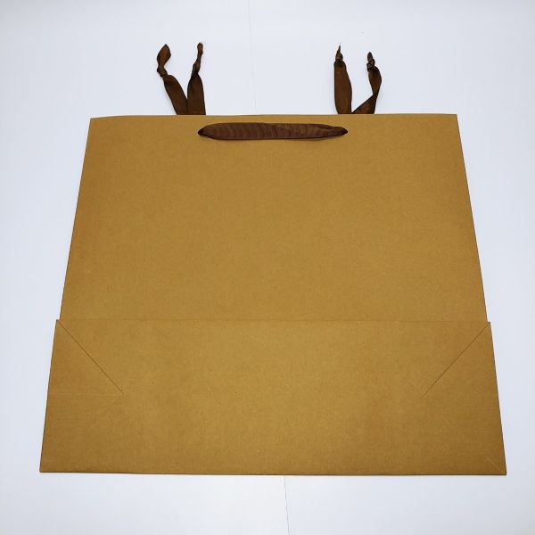 Brown Kraft With Ribbon Handles Bag 