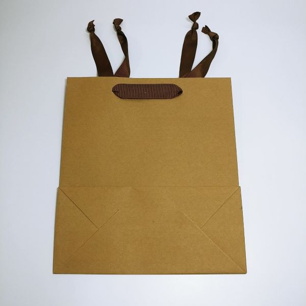 Brown Kraft With Ribbon Handles Bag 