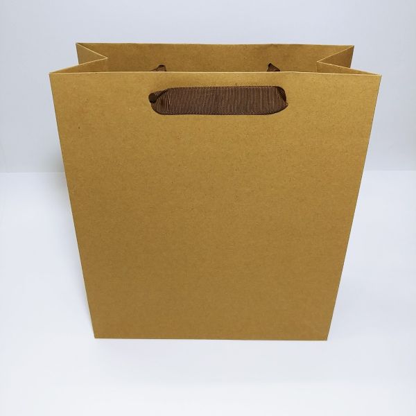 Brown Kraft With Ribbon Handles Bag 