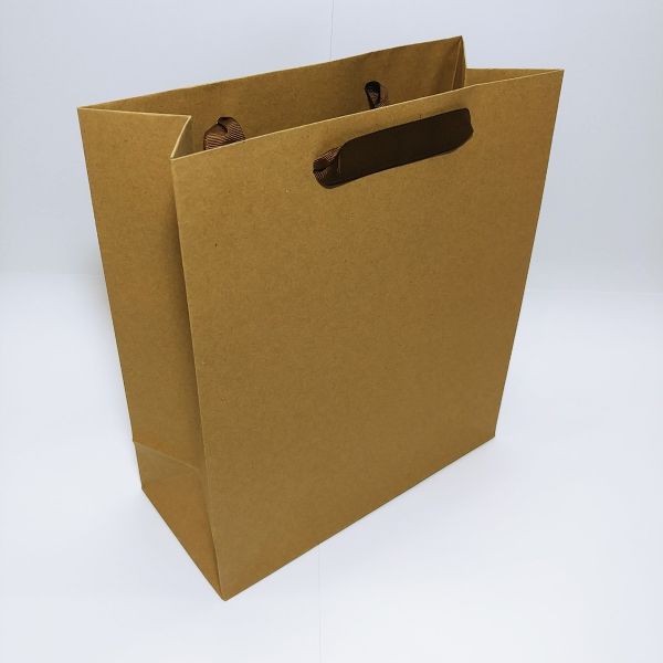 Brown Kraft With Ribbon Handles Bag 