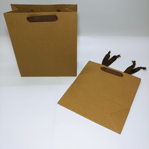 Brown Kraft With Ribbon Handles Bag 