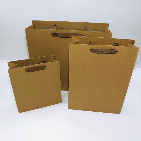 Brown Kraft With Ribbon Handles Bag 