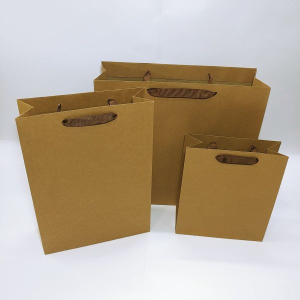 Brown Kraft With Ribbon Handles Bag 