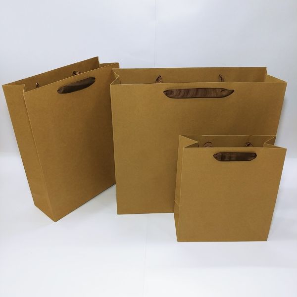 Brown Kraft With Ribbon Handles Bag 