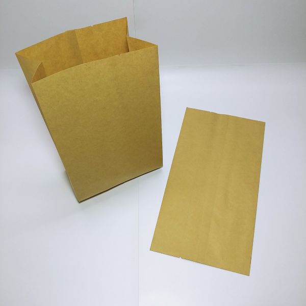 Brown Kraft PE Coated Paper Bag (100pcs)