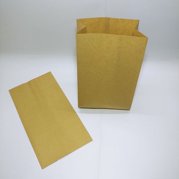 Brown Kraft PE Coated Paper Bag (100pcs)