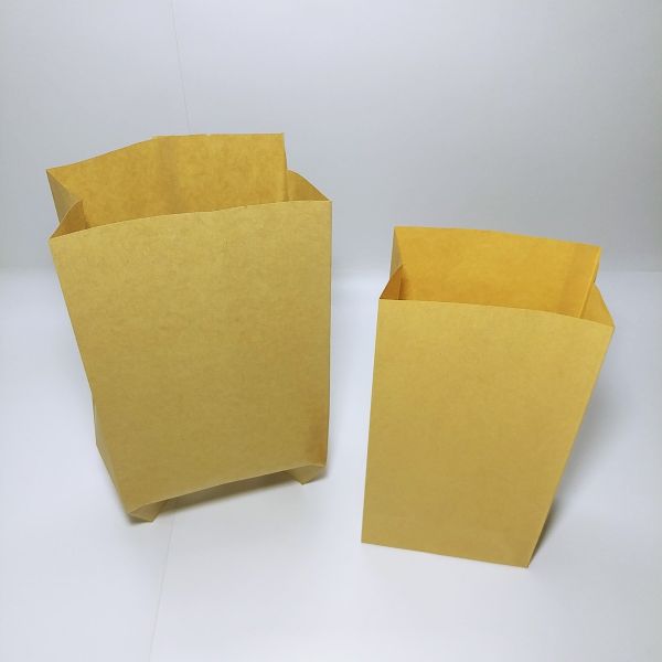 Brown Kraft PE Coated Paper Bag (100pcs)