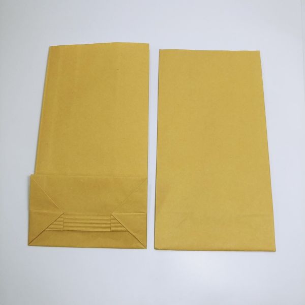 Brown Kraft PE Coated Paper Bag (100pcs)