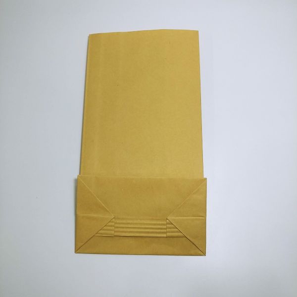 Brown Kraft PE Coated Paper Bag (100pcs)