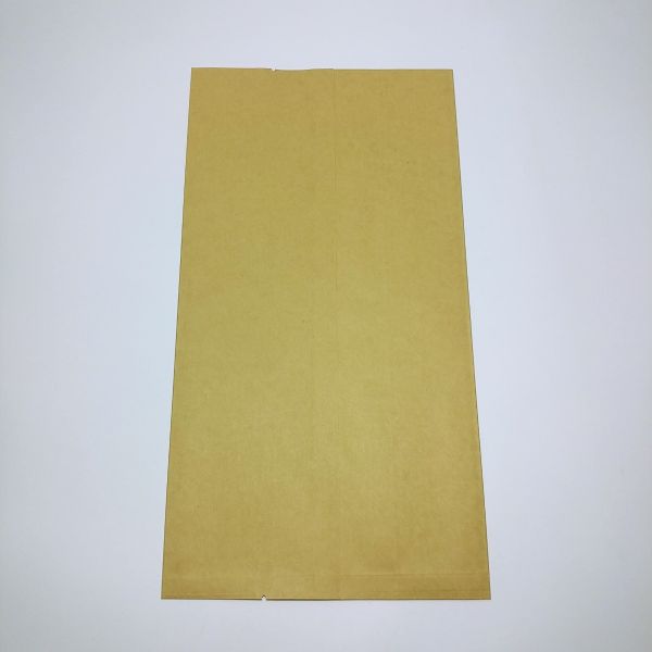 Brown Kraft PE Coated Paper Bag (100pcs)