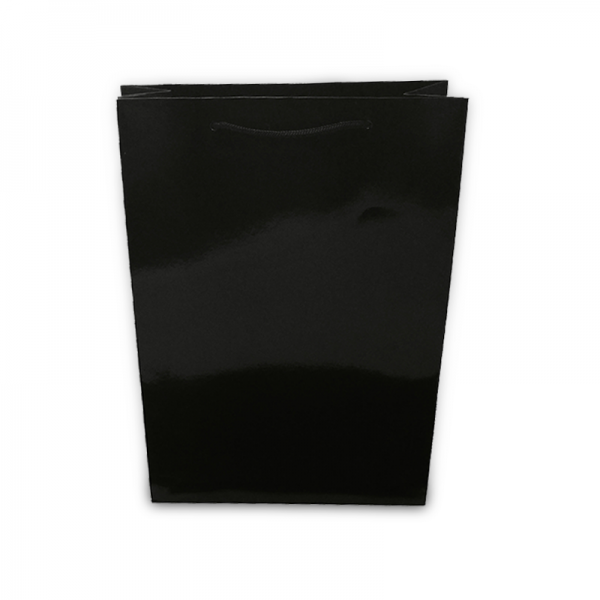 Black Glossy Paper Bag (Large)