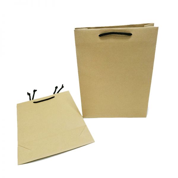Brown Kraft Rope Handles Bag - Large