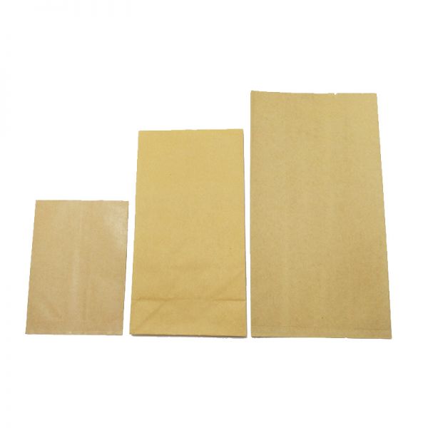 Brown Kraft PE Coated Paper Bag (100pcs)