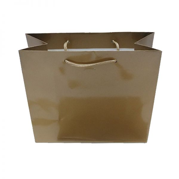 Gold Glossy Paper Bag  [Medium]
