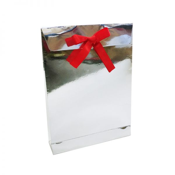Silver Foil Envelope Bag 