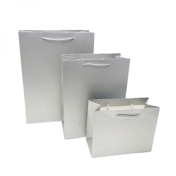 Silver Matt Rope Handles Paper Bag
