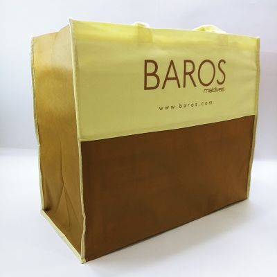 CM - Non Woven Bag-010