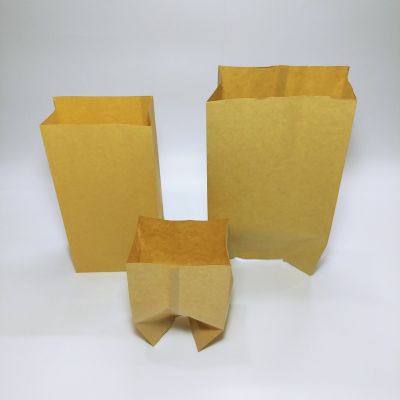 Brown Kraft PE Coated Paper Bag (100pcs)