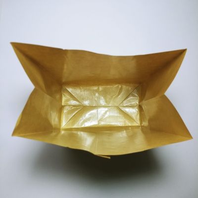 Brown Kraft PE Coated Paper Bag (100pcs)