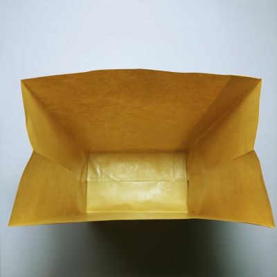 Brown Kraft PE Coated Paper Bag (100pcs)