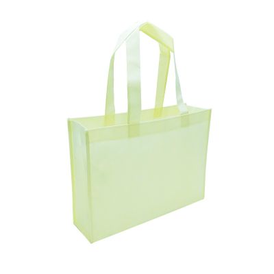 Beige Non Woven Bag [Large]