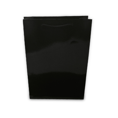 Black Glossy Paper Bag (Large)