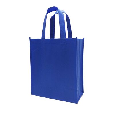 Blue Non Woven Bag [Large]