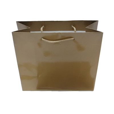 Gold Glossy Paper Bag  [Medium]