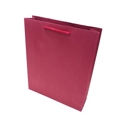 Red Card With Rope Handles Paper Bag