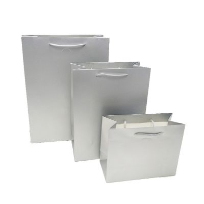 Silver Matt Rope Handles Paper Bag