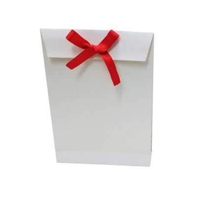 White Matt Envelope Bag with Ribbon 